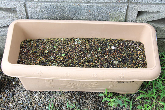 f:id:takahikonojima:20180908082858j:plain