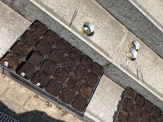 f:id:takahikonojima:20180909112521j:plain f:id:takahikonojima:20180909112521j:plain