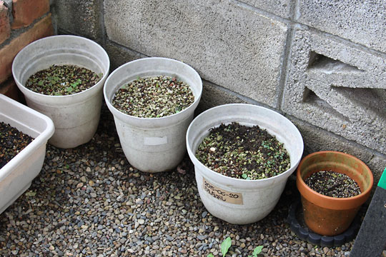 f:id:takahikonojima:20180915083823j:plain