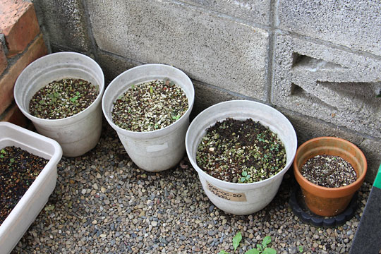 f:id:takahikonojima:20180915083838j:plain