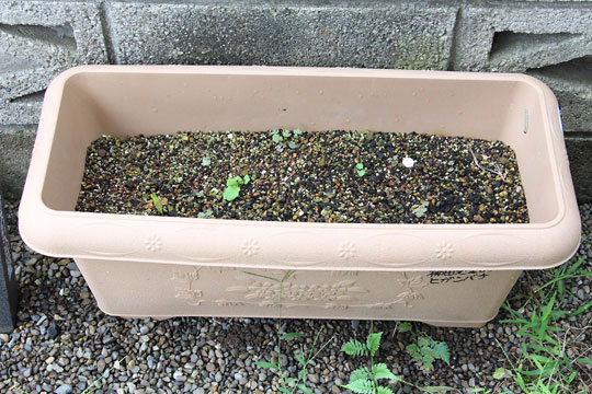 f:id:takahikonojima:20180915083856j:plain