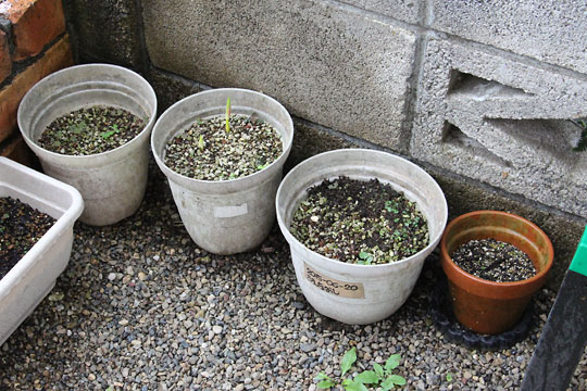 f:id:takahikonojima:20180915083900j:plain