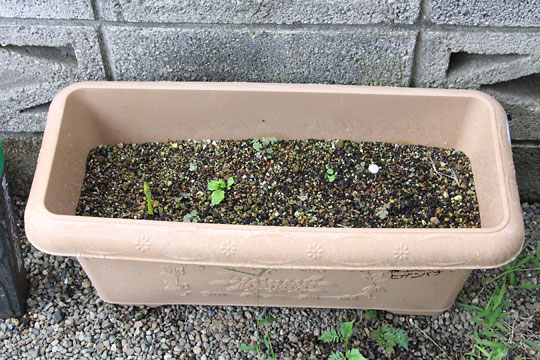 f:id:takahikonojima:20180915083905j:plain