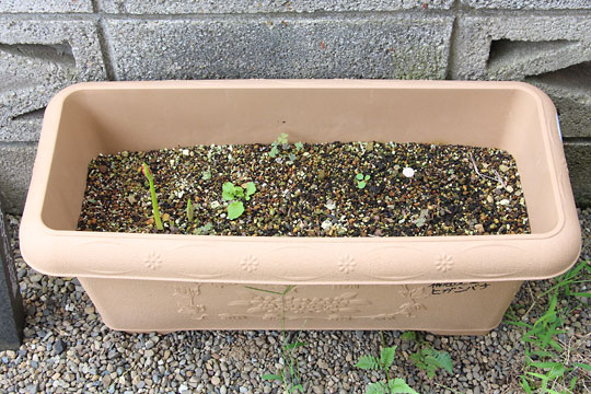 f:id:takahikonojima:20180915083915j:plain