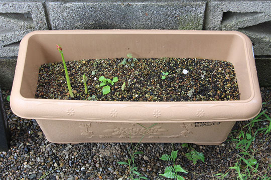 f:id:takahikonojima:20180915083927j:plain