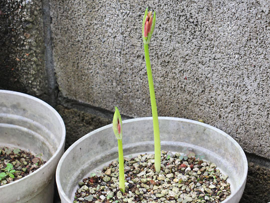 f:id:takahikonojima:20180915084216j:plain