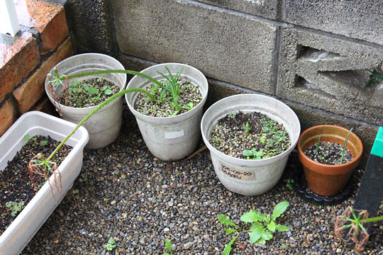 f:id:takahikonojima:20181006191334j:plain