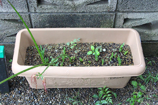 f:id:takahikonojima:20181006191341j:plain