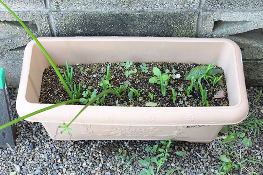 f:id:takahikonojima:20181006191353j:plain