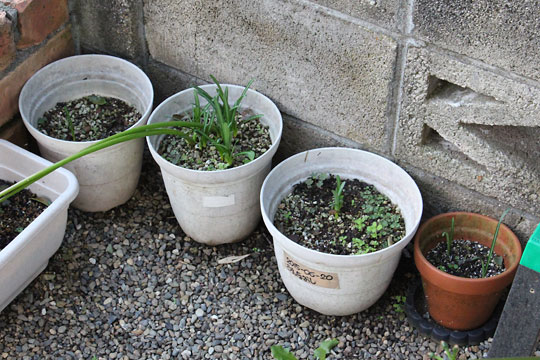 f:id:takahikonojima:20181006191413j:plain