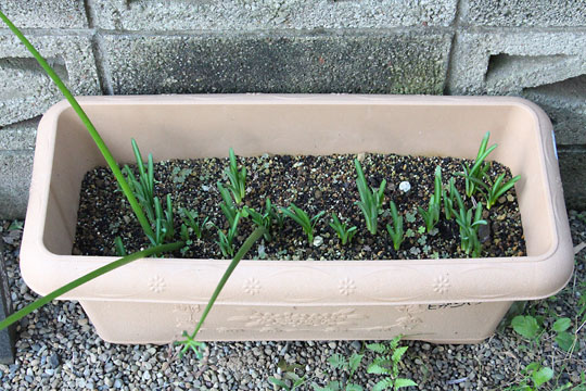 f:id:takahikonojima:20181006191418j:plain