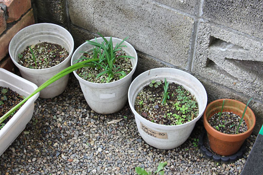 f:id:takahikonojima:20181006191424j:plain