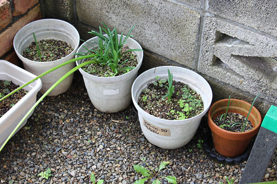 f:id:takahikonojima:20181006191453j:plain