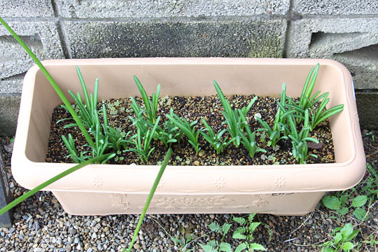 f:id:takahikonojima:20181006191458j:plain