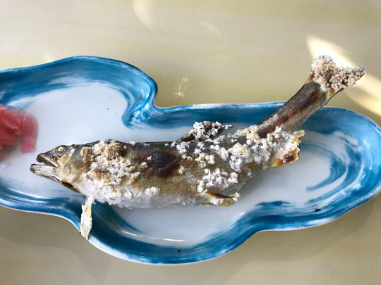 f:id:takahikonojima:20181006214957j:plain