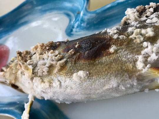 f:id:takahikonojima:20181006215005j:plain