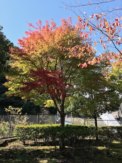 f:id:takahikonojima:20181021122037j:plain