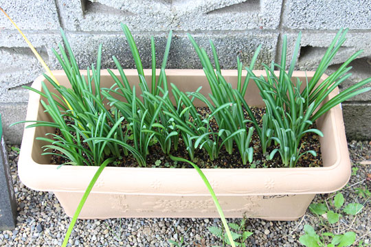 f:id:takahikonojima:20181025124301j:plain