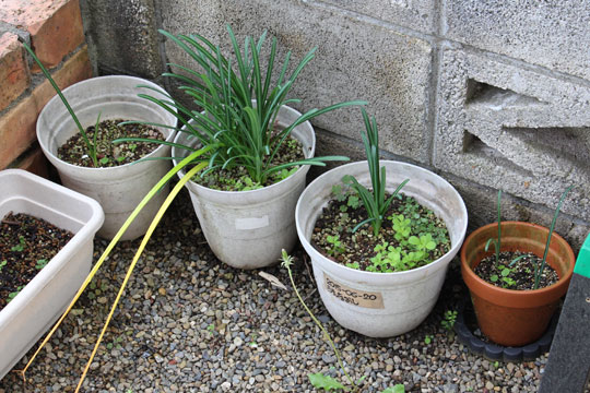 f:id:takahikonojima:20181025124306j:plain