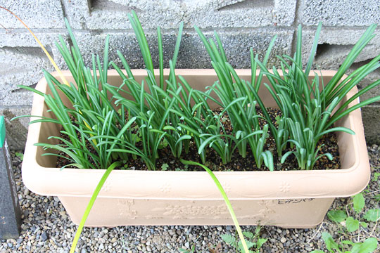 f:id:takahikonojima:20181025124312j:plain