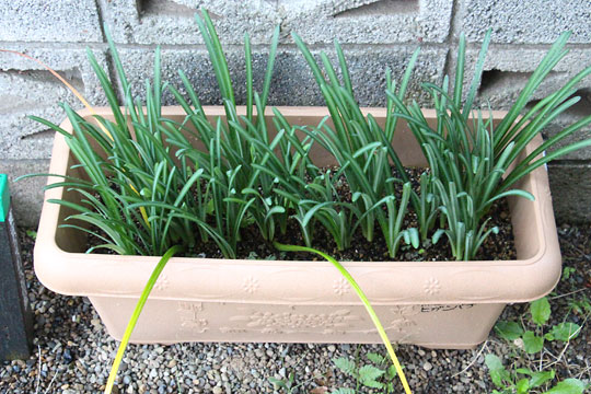 f:id:takahikonojima:20181025124323j:plain