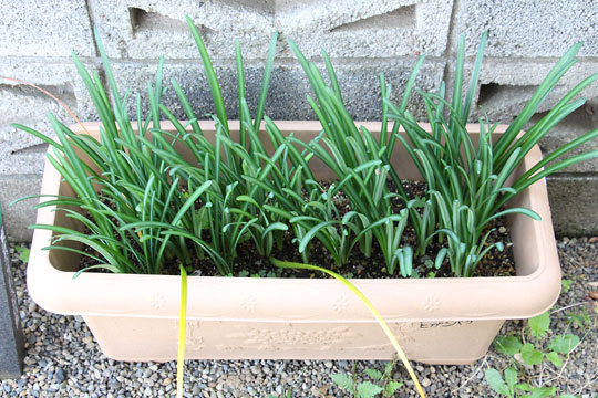 f:id:takahikonojima:20181025124335j:plain