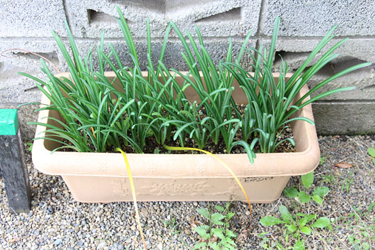 f:id:takahikonojima:20181025124345j:plain