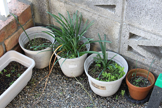 f:id:takahikonojima:20181028174153j:plain