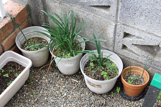 f:id:takahikonojima:20181028174220j:plain