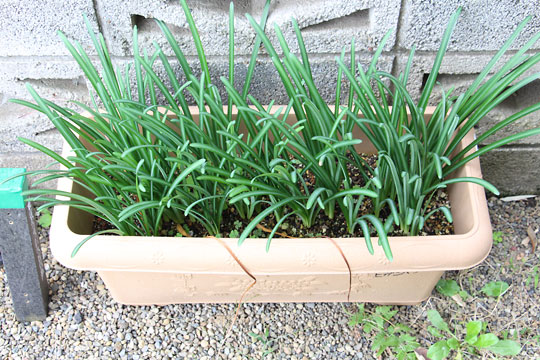 f:id:takahikonojima:20181028174227j:plain