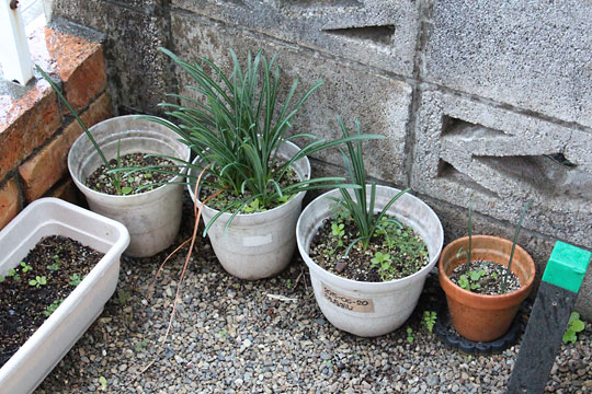 f:id:takahikonojima:20181028174232j:plain