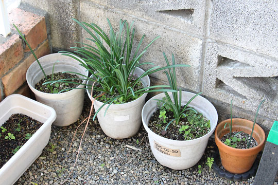 f:id:takahikonojima:20181028174243j:plain