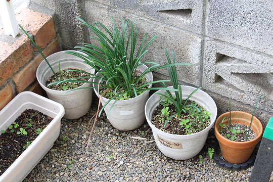 f:id:takahikonojima:20181028174254j:plain