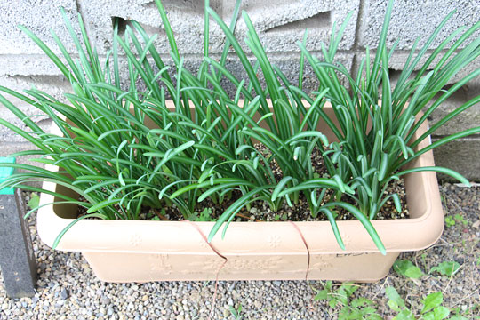 f:id:takahikonojima:20181028174300j:plain