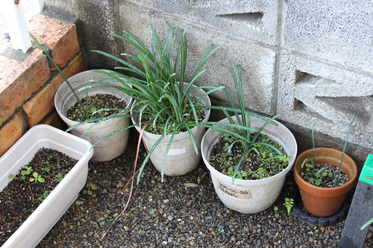 f:id:takahikonojima:20181028174305j:plain