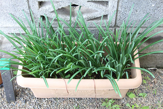 f:id:takahikonojima:20181106172040j:plain