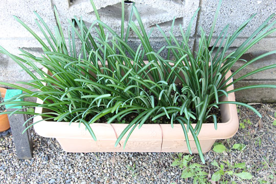 f:id:takahikonojima:20181106172050j:plain