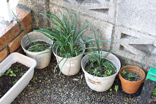 f:id:takahikonojima:20181106172059j:plain