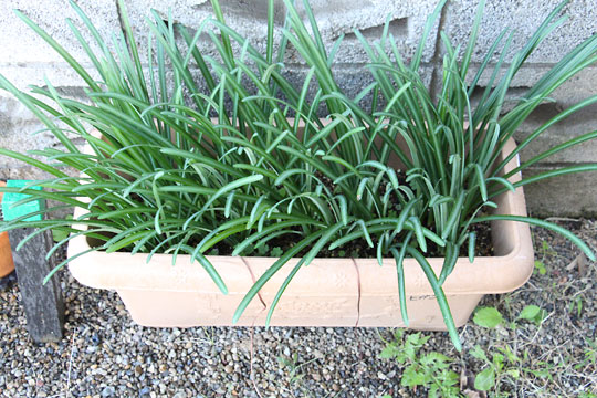 f:id:takahikonojima:20181106172109j:plain