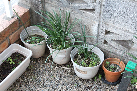 f:id:takahikonojima:20181106172114j:plain