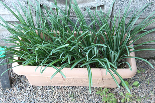 f:id:takahikonojima:20181106172119j:plain