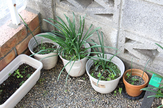 f:id:takahikonojima:20181106172127j:plain