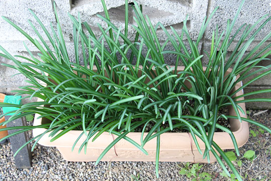 f:id:takahikonojima:20181106172134j:plain