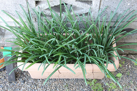 f:id:takahikonojima:20181106172144j:plain