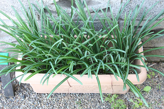 f:id:takahikonojima:20181106172155j:plain