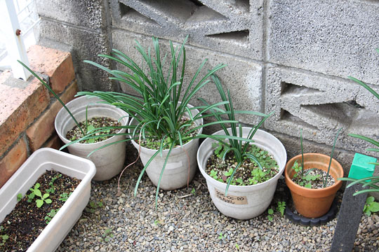 f:id:takahikonojima:20181110183437j:plain