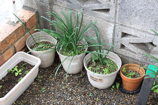 f:id:takahikonojima:20181110183451j:plain