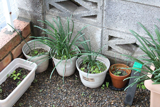 f:id:takahikonojima:20181110183517j:plain