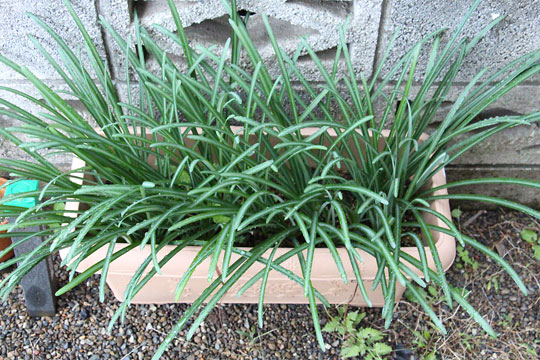 f:id:takahikonojima:20181110183522j:plain