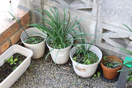 f:id:takahikonojima:20181110183528j:plain